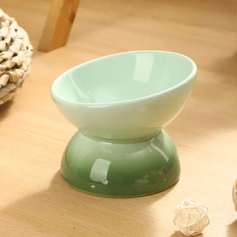 Ceramic Elevated Cat Bowl