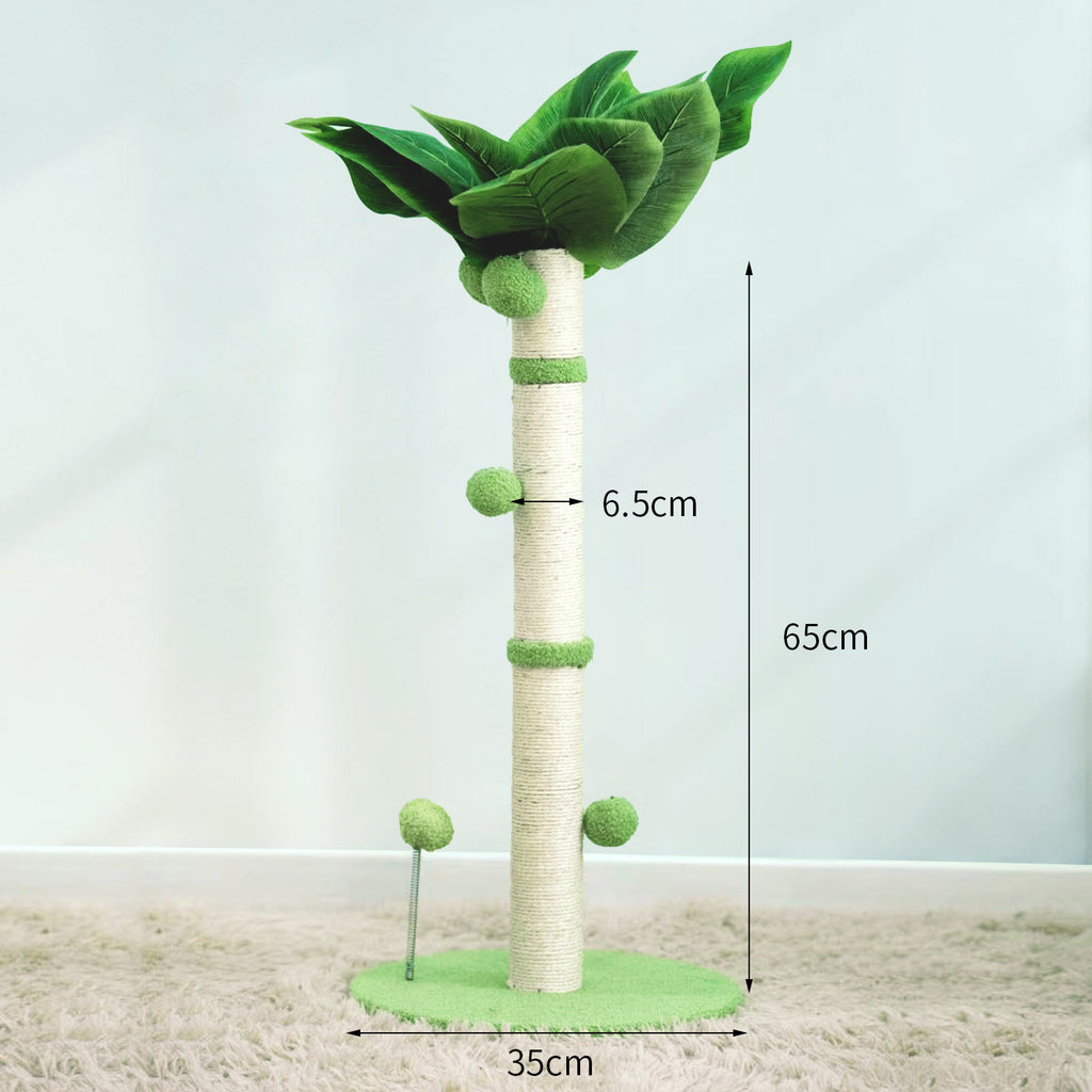 Tropical Wonder Scratcher Post