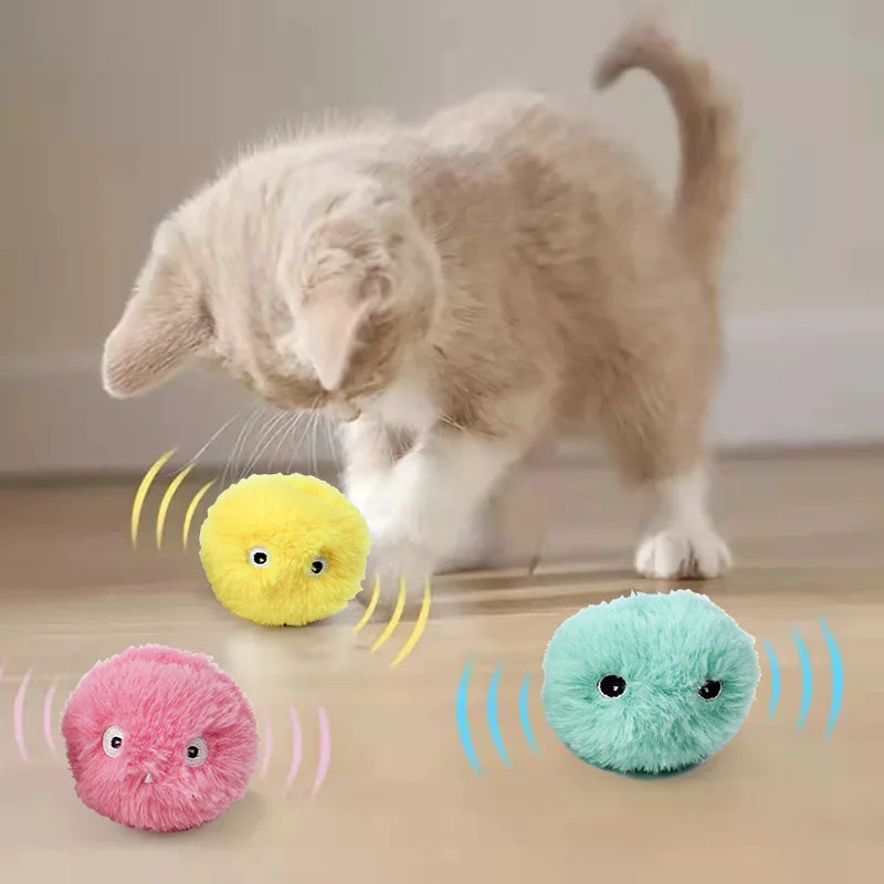 Smart Cat Interactive e-Ball