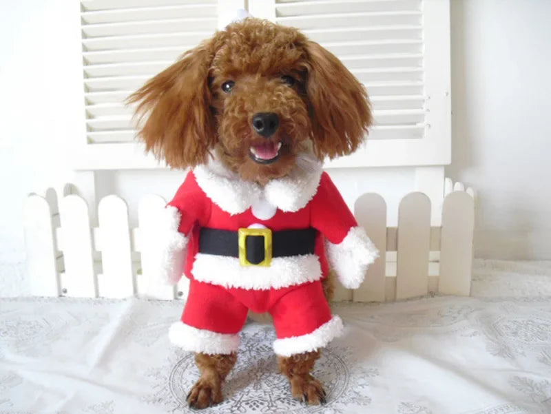 Santa Paws Costume