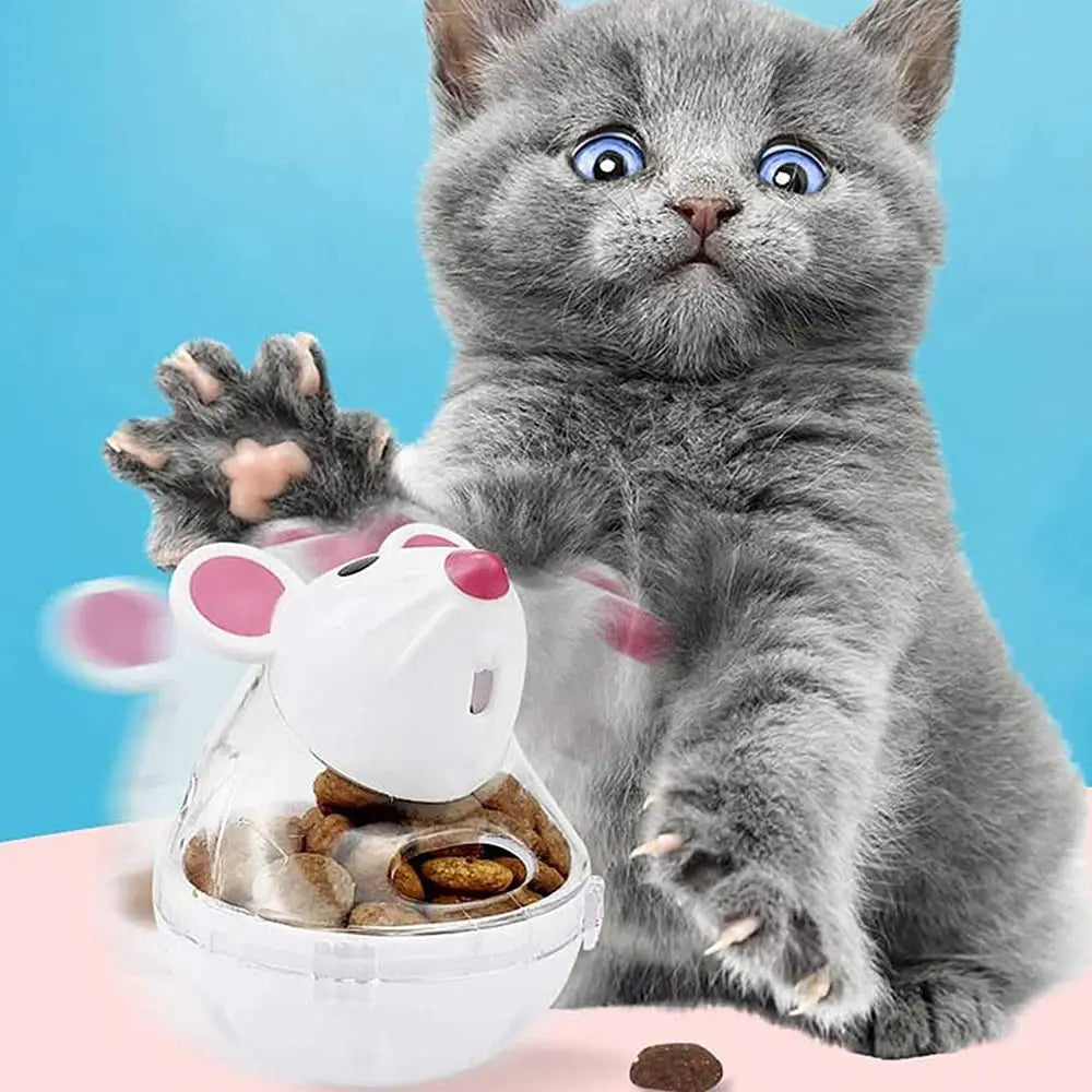 Interactive Cat Treat Puzzle