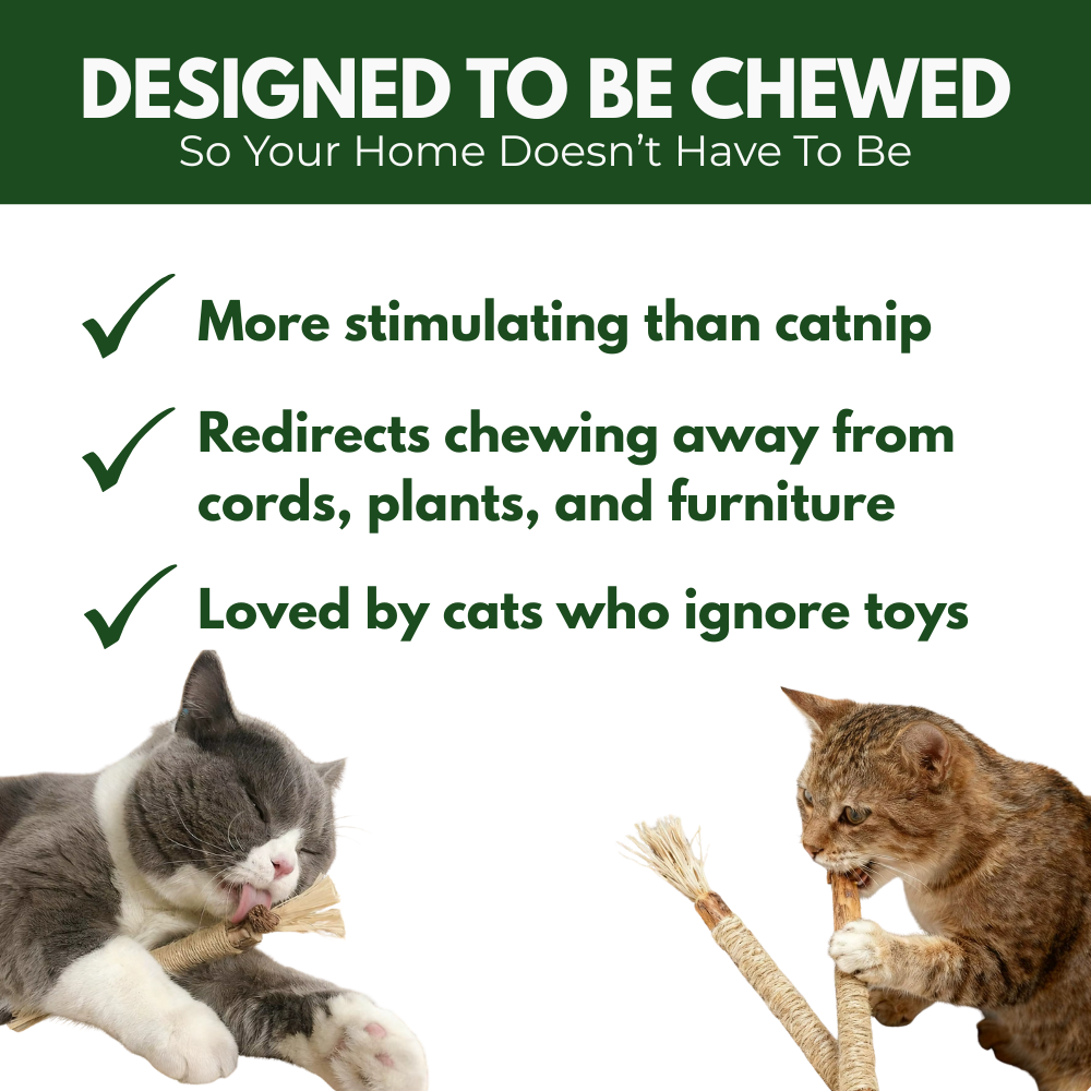 100% Natural Silverine Dental Sticks