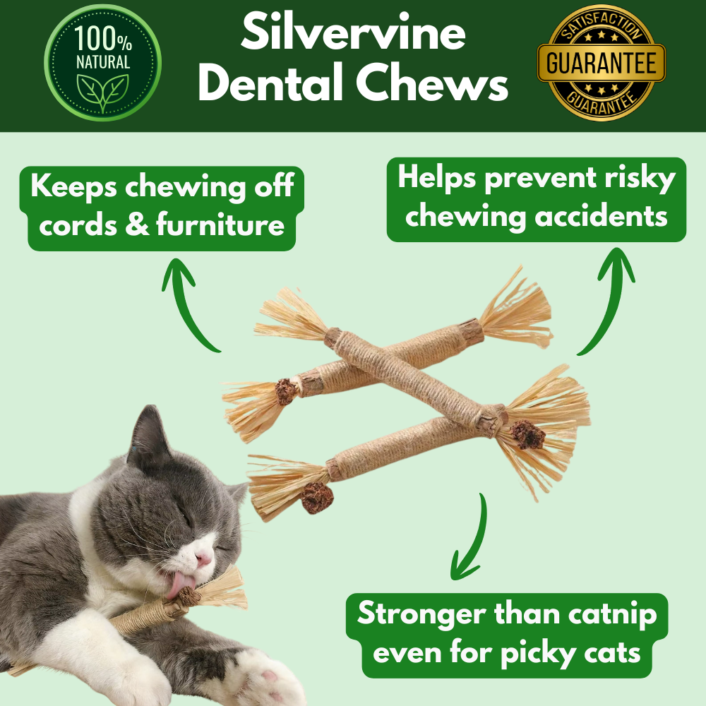 100% Natural Silverine Dental Sticks