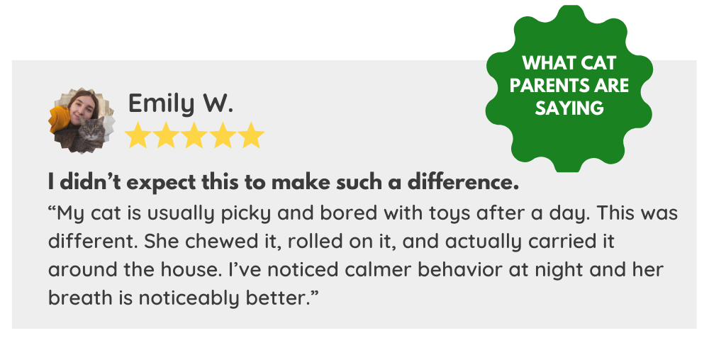 Product review with a five-star rating and customer testimonial on a white background