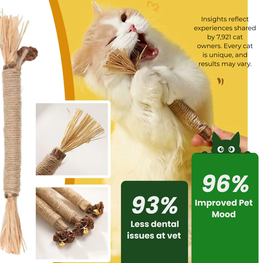 100% Natural Silverine Dental Sticks