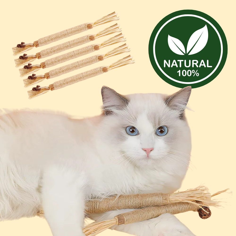 100% Natural Silverine Dental Sticks