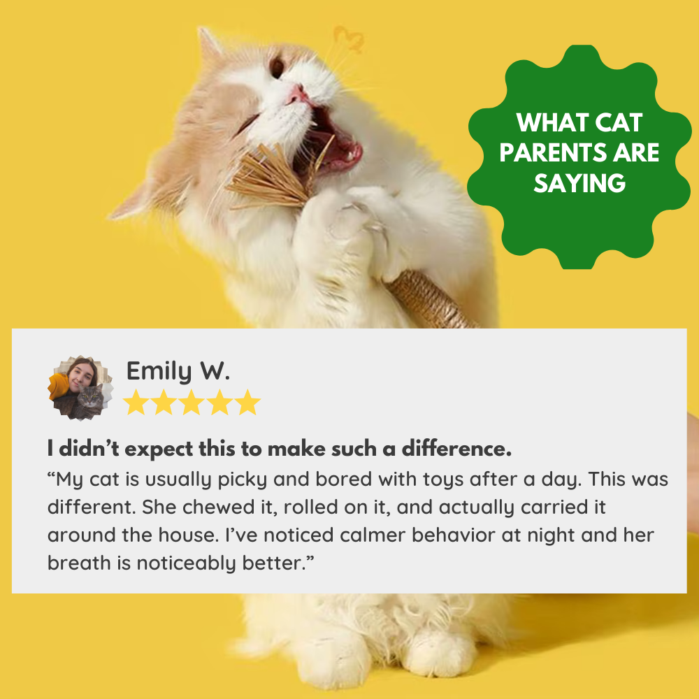 100% Natural Silverine Dental Sticks