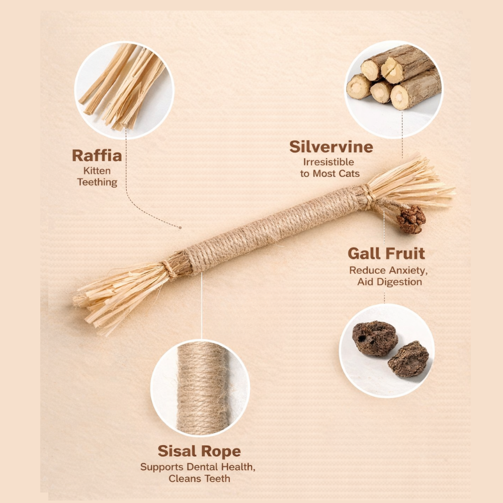 100% Natural Silverine Dental Sticks